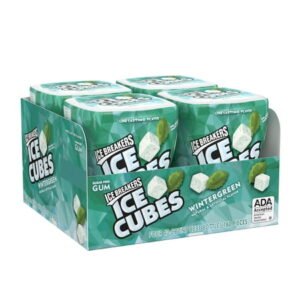 ICE CUBES BOTTLES, WINTERGREEN 4 CT *NEW*